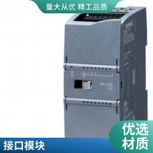 6ED1052-1MD08-0BA1 LOGO!12/24RCE ʾ