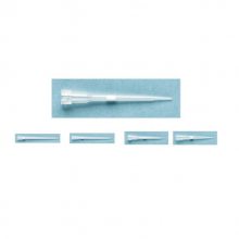 Thermo ART 10 REACH 10?l оӳͷ ޾ 2140