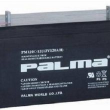 PALMAPM120-12 12V120AHֱ EPSԴ