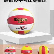 桂林灌阳学校体育用品铅球排球综合训练器