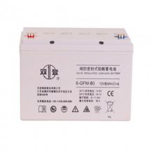 ˫6-GFM-80ǦὺάUPSԴֱ12V80AH