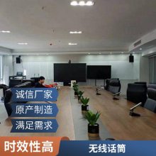 JRLON一拖二無線話筒 會(huì)議領(lǐng)夾電容麥克風(fēng)