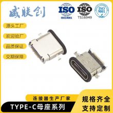 type-cĸ 24Pǰ ˮȦTYPEC 3.1USBĸ