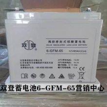 ˫6-GFM-65 12V65AHUPS/EPSֱϵƿϵͳ