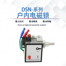 ӦDSN-Y/Zڵ AC DC220V 110Vͨ