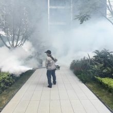 绰,ɶϹ˾,ɶ湫˾