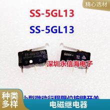 DSY2Y-S-205L/212L/224L 5/12/24VDC81A120VAC
