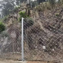 ���Ա��·�������һ���Ը�ǿ�ȸ�˿����Ϊ��Ҫ���ɲ��ֵ����Է���