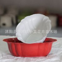 家居盆栽水培植物塑料花盆水仙睡莲碗莲花盆椭圆加厚直销批发