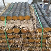 泰州市景观园林厂家出售美观环保水泥仿木桩草坪护栏树桩石栏杆