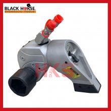 Ťذ BHQDϵŤذ ̨BLACK HORSEŤذ