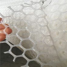 养殖网袋苗床网 塑料平网漏粪网 1.2厘米圆眼育雏鸡网