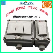 ǽڿBZM(SW-10)
