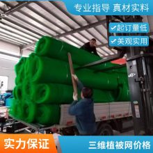 塑料三维植被网 护坡植草土工网垫世杰 山坡固土用三维网