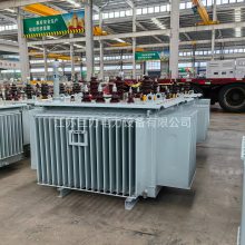 6.3kV/10kVͽʽѹ S13-500kVA/6.3kVͽʽѹ