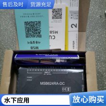 (yng)Ringspann 31L25 2XA25/84-108 3620-031118-000000 