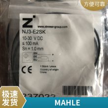 PI22025RN SMX6 MAHLE о *** Ʒ***