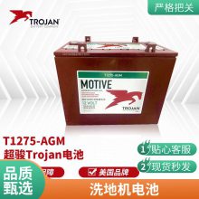 Trojan邱健蓄电池T-105铅酸储能型 洗地机 观光车 叉车营销中心