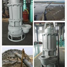 电动抽浆泵 大流量排浆泵 多功能吸浆泵 大功率抽浆设备吸浆完善