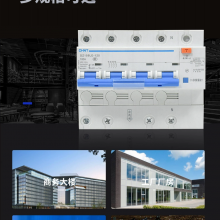 ̩©翪DZ158LE-125H 2P 80Aʣ·