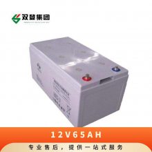 ˫12V65AHǦάش6-GFM-ֱUPSԴר