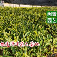 Ҷ 30-45 ԰ճ