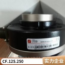 RE CBϵ/ʽCB.300.500 CB.300.1000