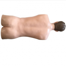 中医拔罐训练模型YR-ZCIII