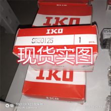 SR50125ƽ IKO