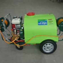 ձGX1603WZ-300Tʽ300ѹҩ