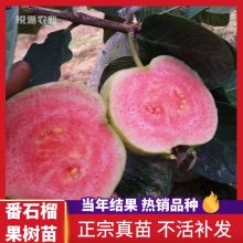 ƷѺ챦ʯϰ޽ļĺķʯ統