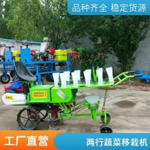 自走式两行蔬菜移栽机 种苗秧苗茄子辣椒西红柿汽油动力座驾式