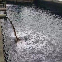 ηˮɫ MVR COD  ɫ