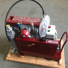 宇成100升小型高压空气呼吸器充气机WG22-32型 电动发动机