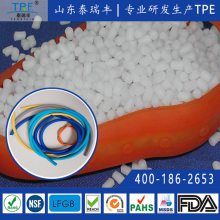 ·TPUȶ·ݾTPU