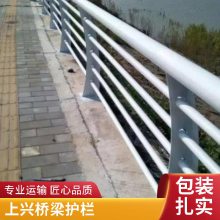河北安平表面喷塑抗冲击桥梁护栏 多型号市政道路用栏杆