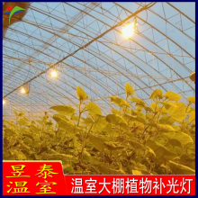 ̩ Ҵֲﲹ ˹ YTWSBG0017