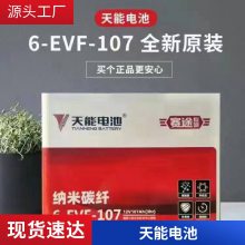 綯Ѷ⳵6GFM86̳12V86AH