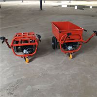 鱼塘清理淤泥双轮车 手掀自卸式灰斗车报价 奔力BL-LL
