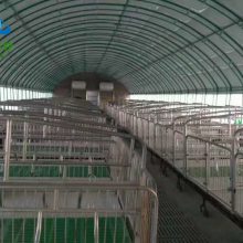 易游娱乐城- YY易游体育官方网站- 易游体育APP安徽省鸡价多少钱一斤养500只大约能赚多少钱