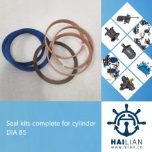 Seal kits complete for cylinder DIA 85 油缸密封修理包