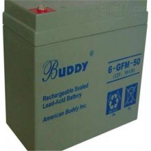 BUDDY6-FM-7ʽǦϵ12V7AHӦƿ