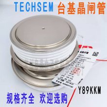 TECHSEM̨ɿعY89KKM KK3000A4000V 4500V4800V