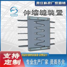桥梁建筑伸缩缝 变形缝伸缩装置 防水伸缩安装更换 可定制
