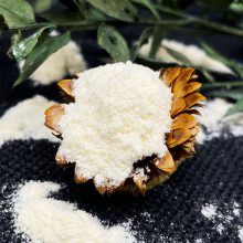 牛初乳粉 浓缩乳清蛋白粉冻干粉 食品级营养强化剂