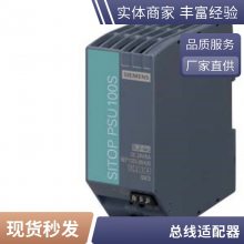 6ES7138-4CA01-0AA0 SIMATIC DPԴģ PM-E  ET 200S