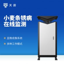 小麦条锈病监测仪 天蔚 TW-XMT 小麦条锈病在线监测