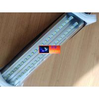 |QINGHAOPAI|DC24V|̳|LED|50W|ɫ||۹|֧ܰ