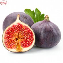 ޻硢ɫ޻硢ɫ޻