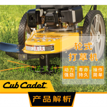 Ƶ 22硯ֵʽKohler XT775 ʽݻ